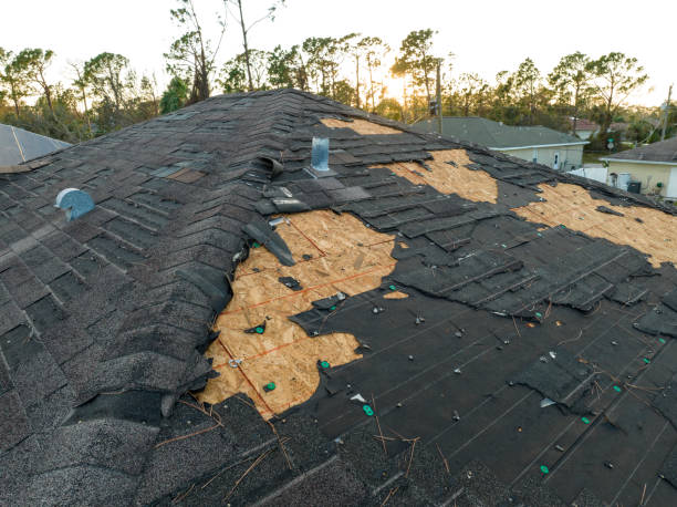 Best Roof Leak Repair  in Mount Airy, MD